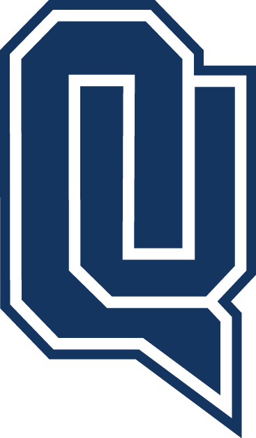 Quinnipiac Bobcats 2002-Pres Alternate Logo v2 diy fabric transfer